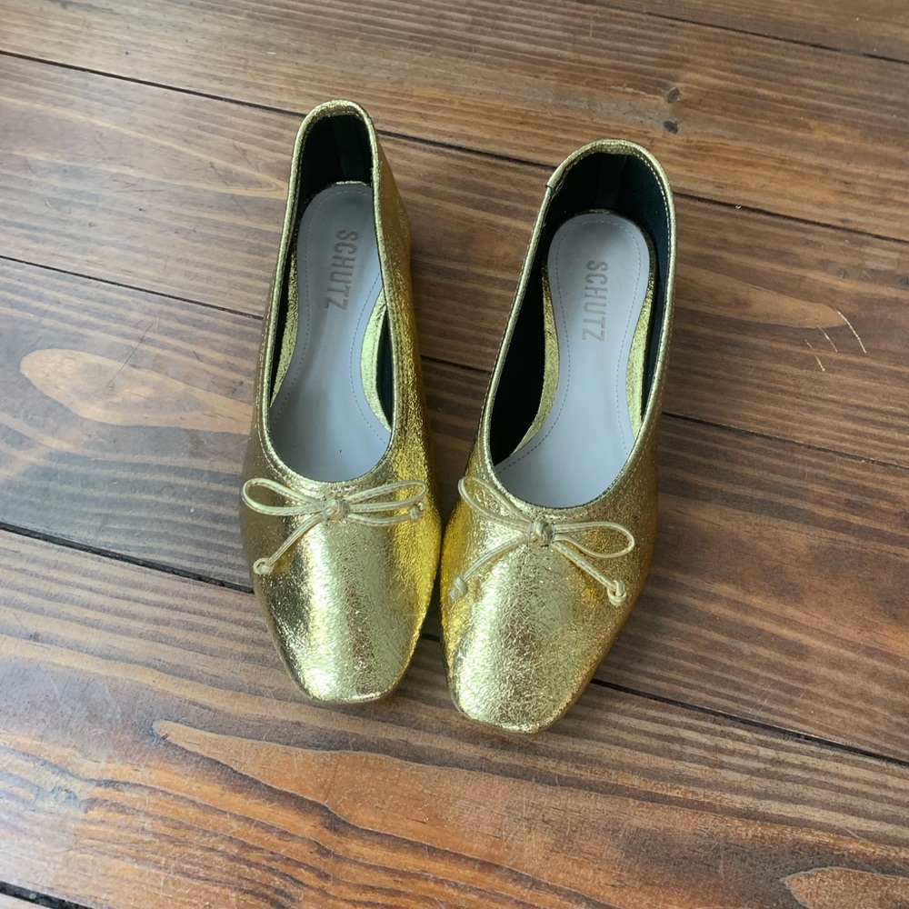 Schutz Arissa Metallic Leather Ballet Flats.